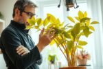 Home & Garden, Why your beloved indoor plants might be silently struggling (and how to decode their hidden signals)