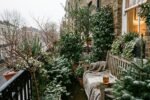 How my London balcony survived -7°C: the 3-step frost shield learned from a Dutch gardener