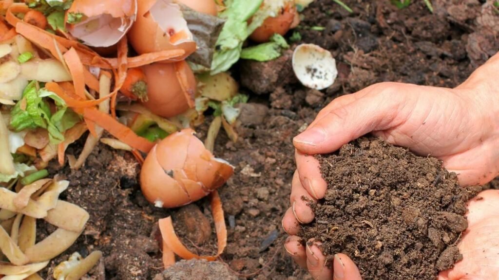 Hands holding dark soil with a background of vegetable peels, cabbage and zucchini leftovers, and eggshells, illustrating composting for gardening