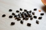 Papaya seeds won’t sprout unless you do this first (it’s not soaking)