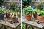 Stop Guessing in 2026: 11 Tiny Fixes That Make Plants Look Healthier in a Week