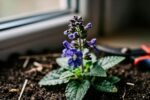 How a tiny garden can quietly change the way you see the planet